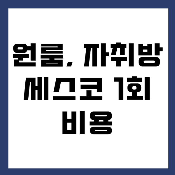 세스코 원룸 가격, 정기 관리 비용, 이용 후기가 궁금하시죠