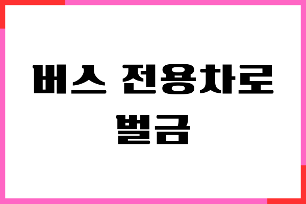 버스 전용차로 벌금, 위반 시간, 해지 시간 총정리